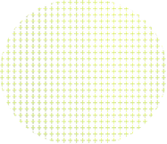 Decorative outdoor advertising illustration